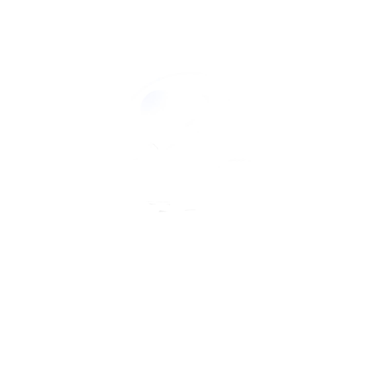 Solar das Palmeiras Residencial